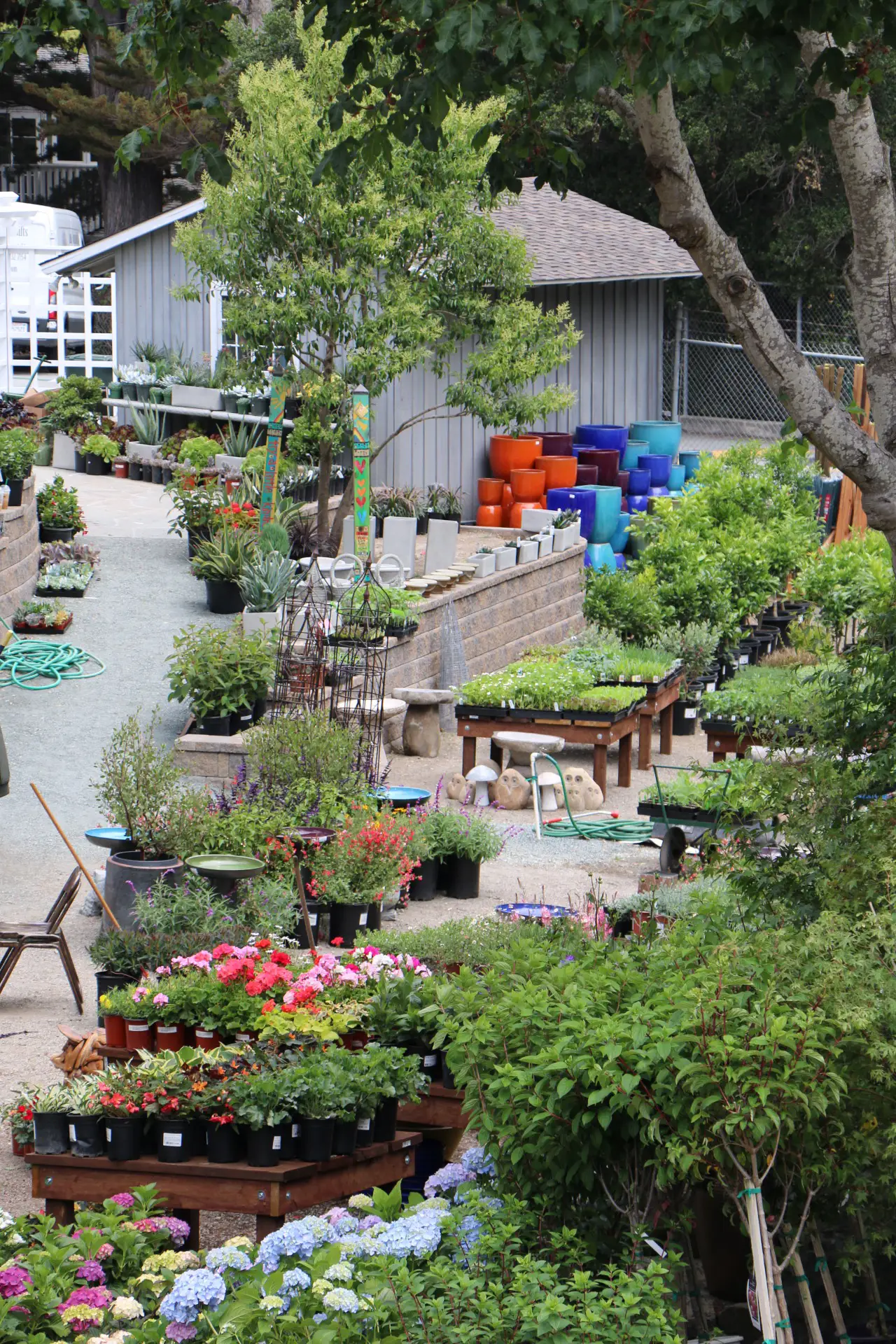 Garden center view from above